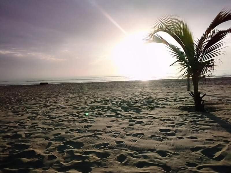 Kinkiliba Beach Lodge Sanyang Eksteriør bilde